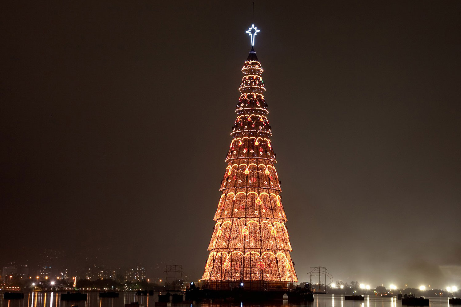 arbol