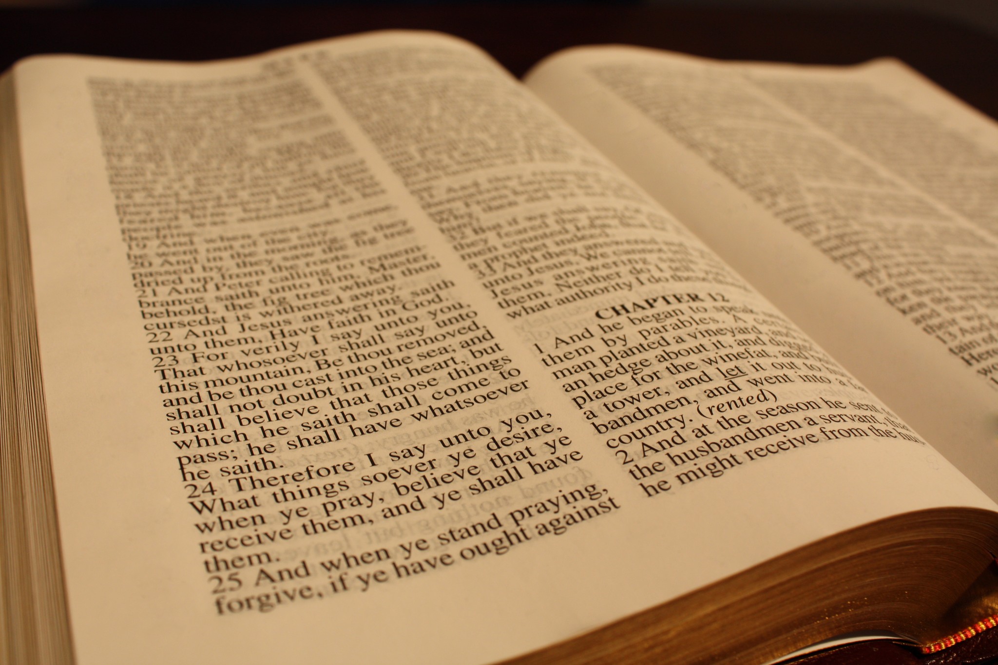 bible