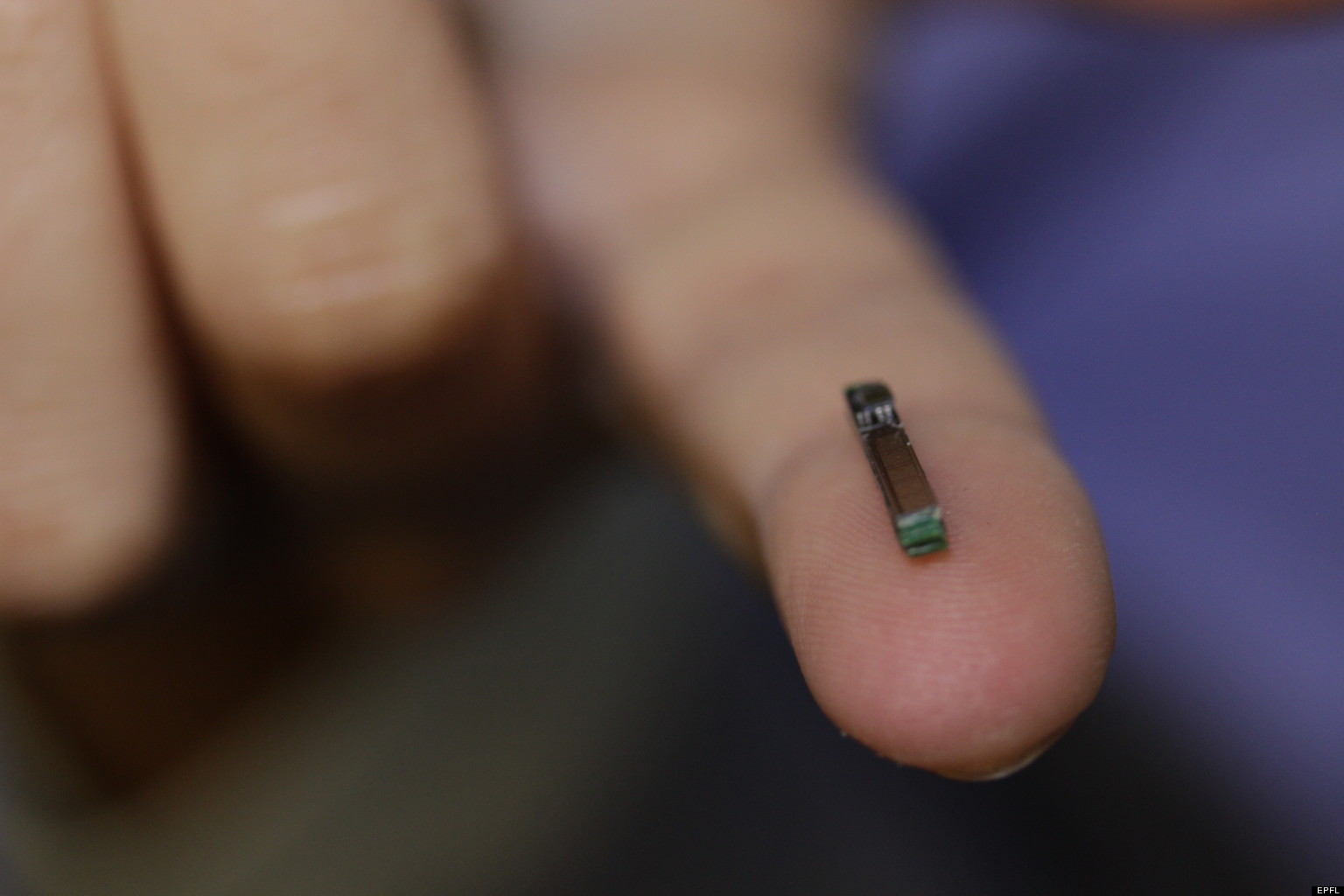 microchip