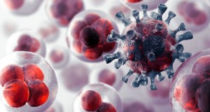 nanoparticulas