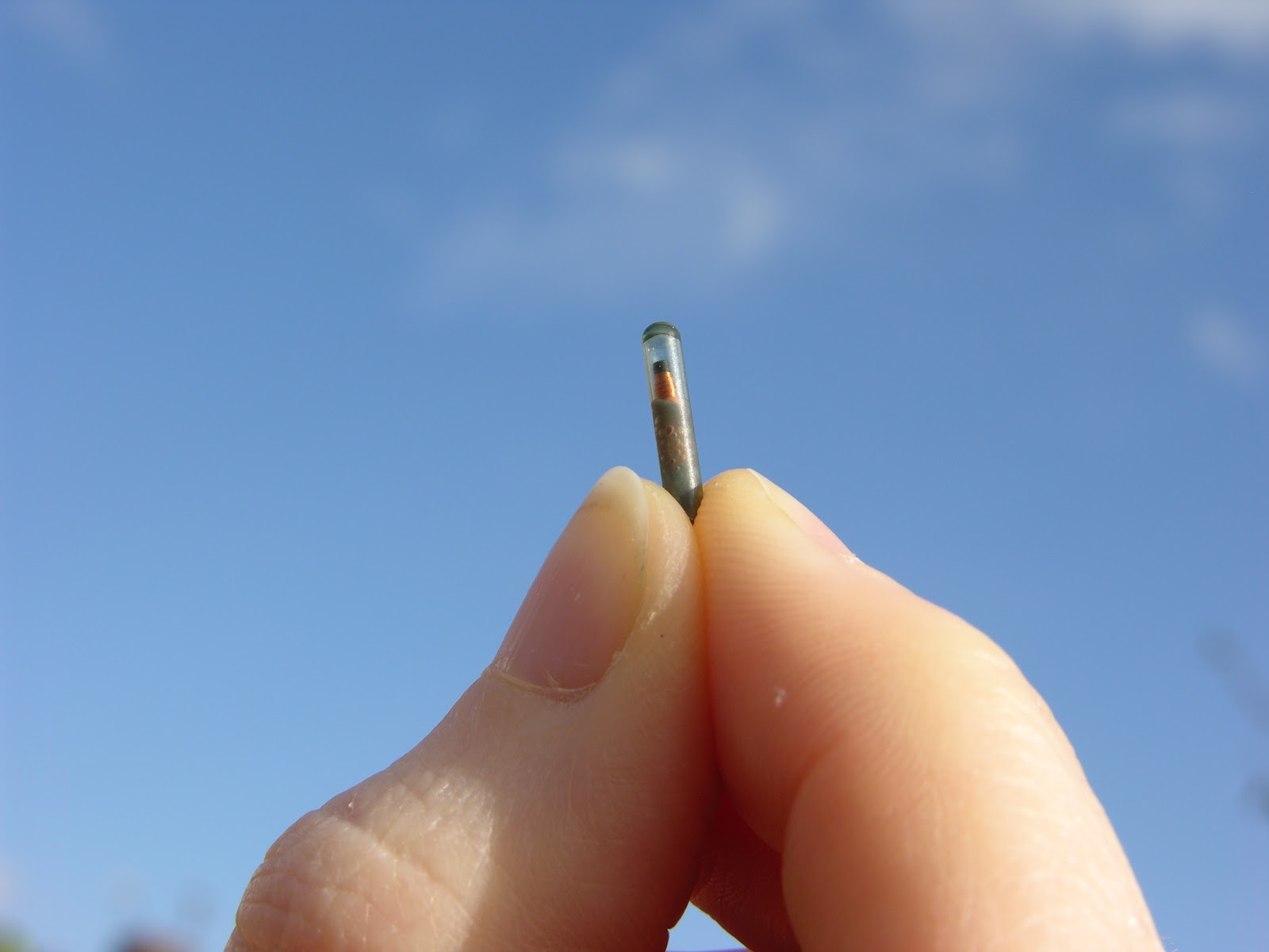 microchip-closeup
