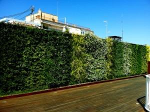 jardin vertical