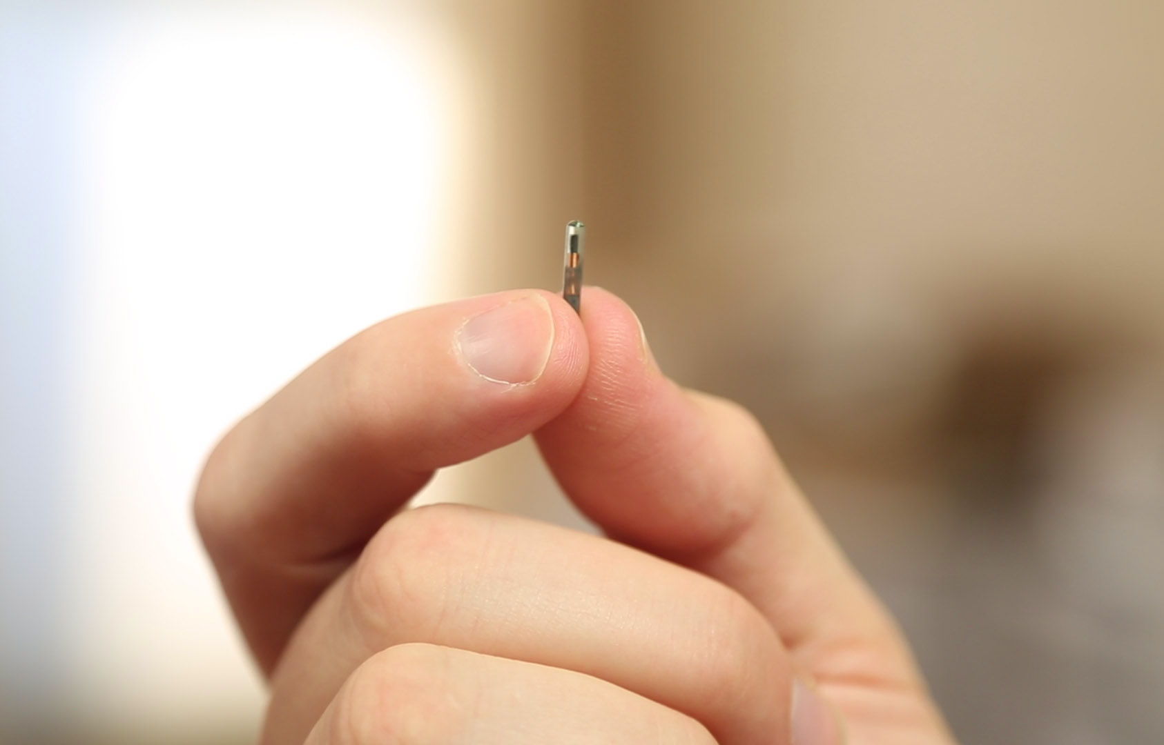 implantacion-microchip