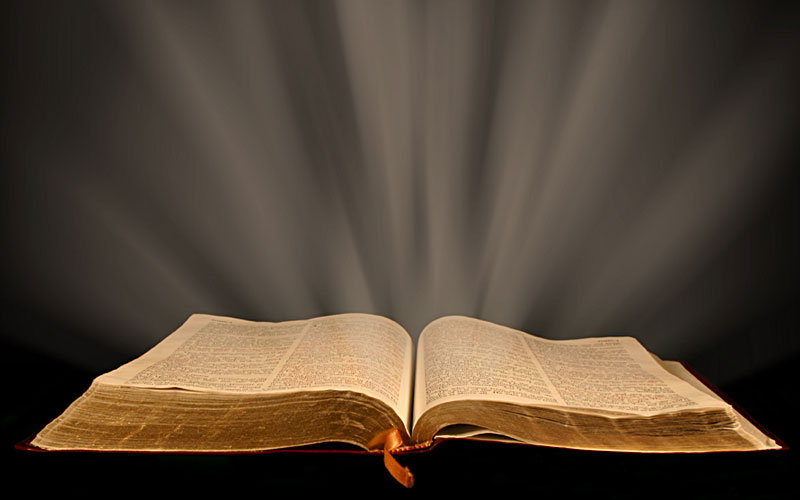 Palabra-de-Dios