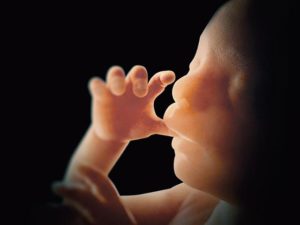 ley aborto