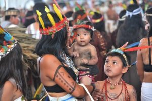 amazonas