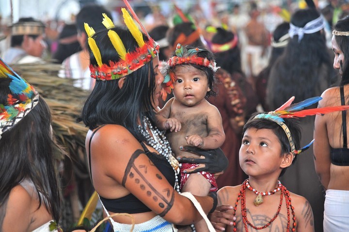amazonas