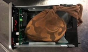 Serpiente-en-computadora-compressor-800x475