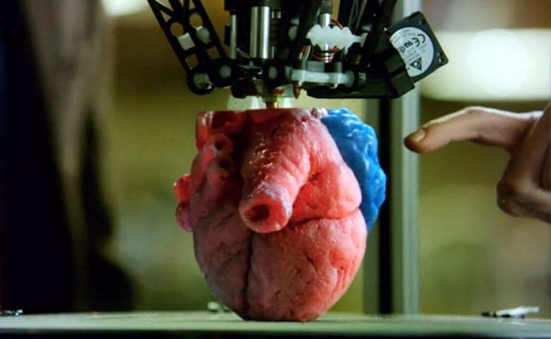 impresion3d-organos