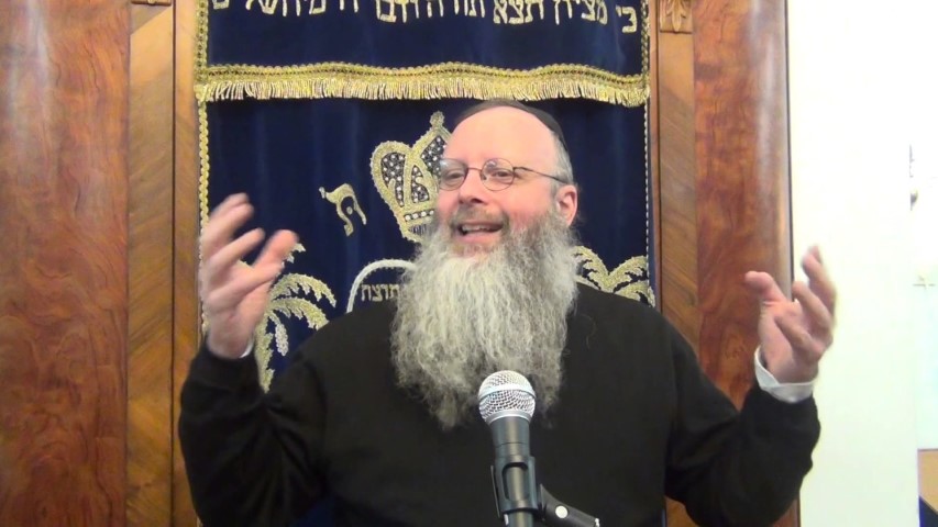 rabino