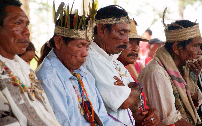indigenas