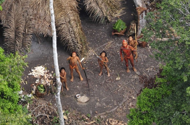 tribu