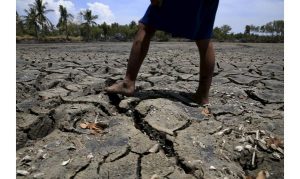 A barefooted boy walk over cracked soil of a 1.5 hectare dried up fishery at the Novaleta town in Cavite province, south of Manila