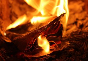 Cartas