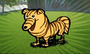 Perro
