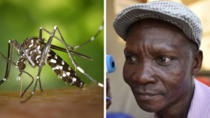 hombre-mosquitos-