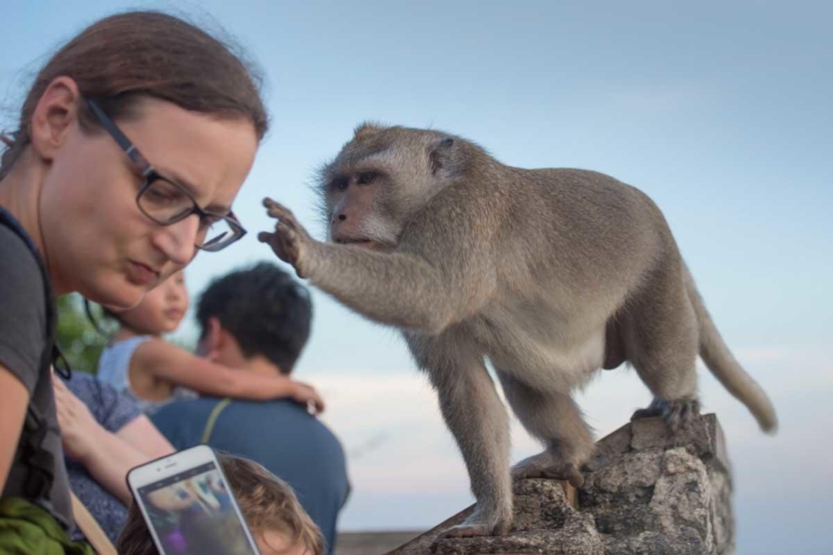 bali