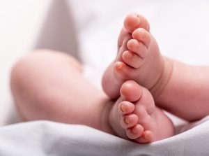 bebe