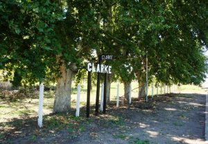 clarke