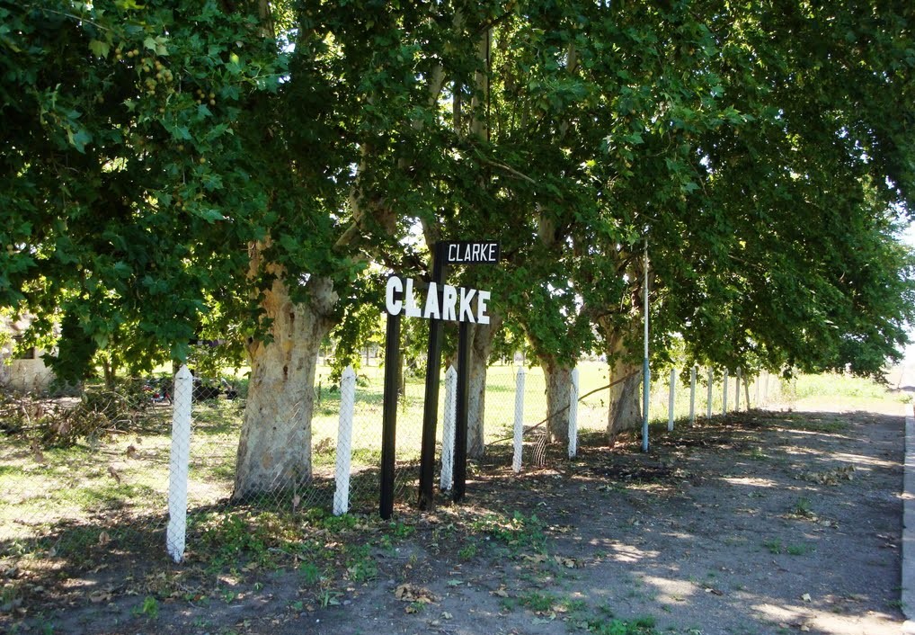clarke