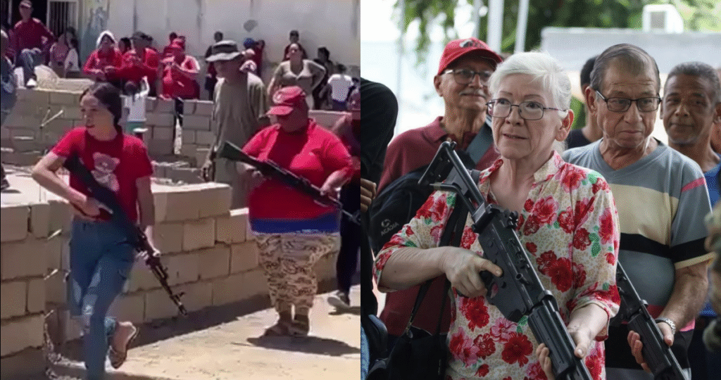 Milicia Venezolana